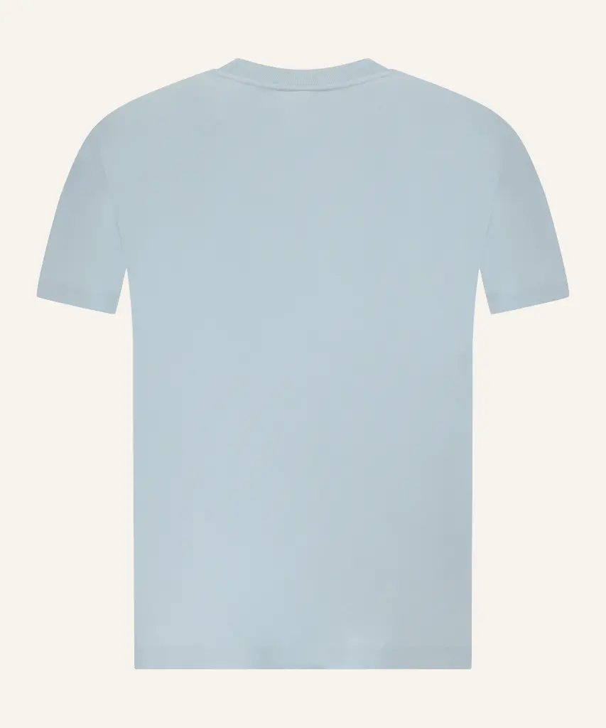 FTSH175-RUBBER BLOSSOM T SHIRT LIGHT BLUE_2.webp
