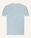 FTSH175-RUBBER BLOSSOM T SHIRT LIGHT BLUE_2.webp