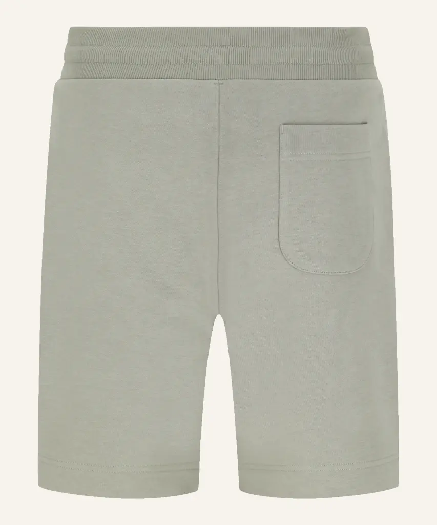 PM PA EY25-0274 ASHEN SAGE_3.webp