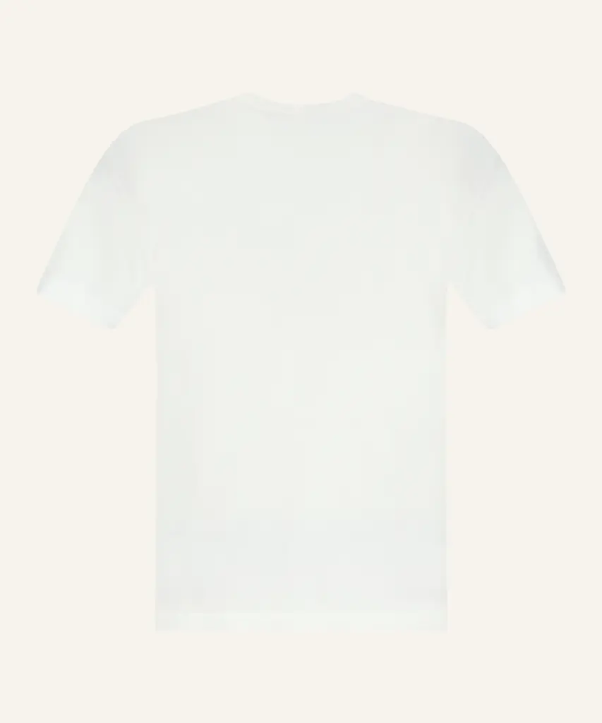 L1S152100027-S0013 V0001 S_2.webp